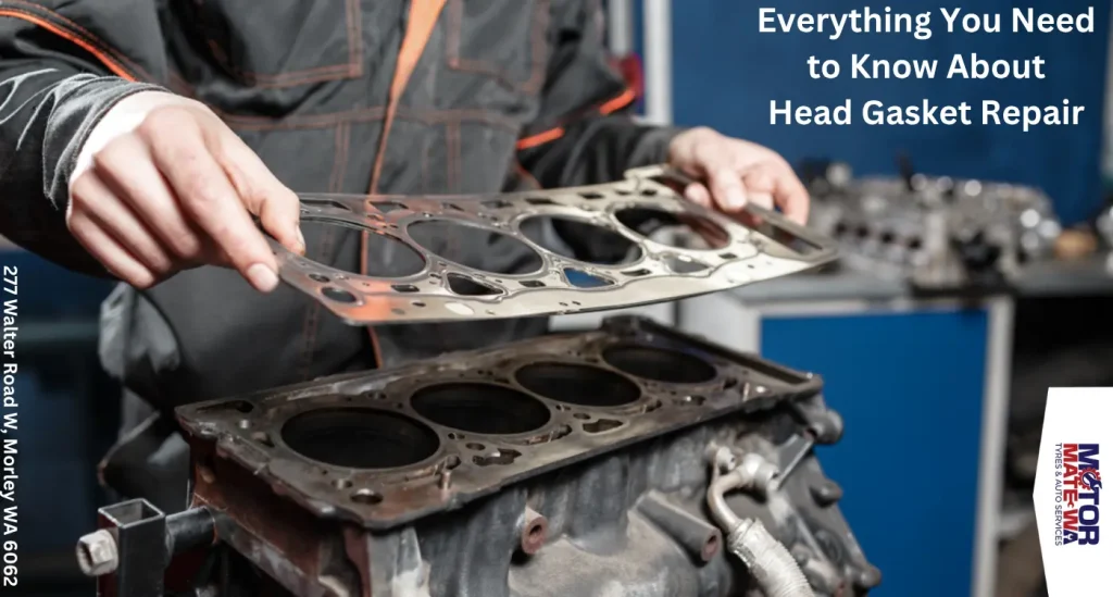Head Gasket